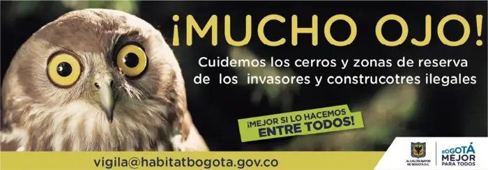 Afiche de la campaña de la Alcaldía de Bogotá con un búho: ¡Mucho ojo! Cuidemos los cerros