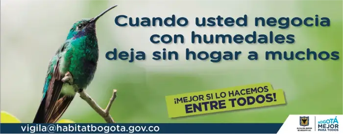 Afiche de la campaña de la Alcaldía de Bogotá con un colibrí sobre la protección de humedales